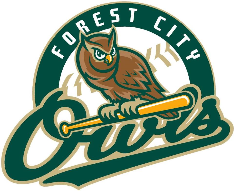 Forest City Owls iron ons